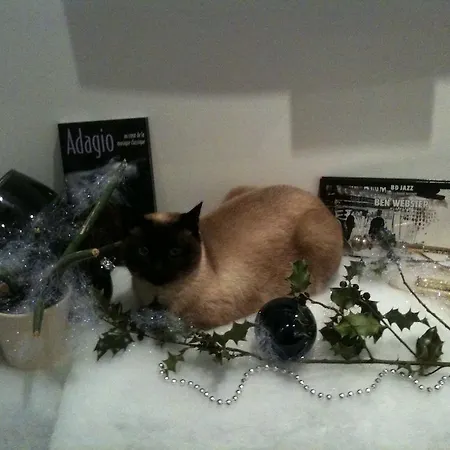 帕兰特西酒店 Lavault-Sainte-Anne