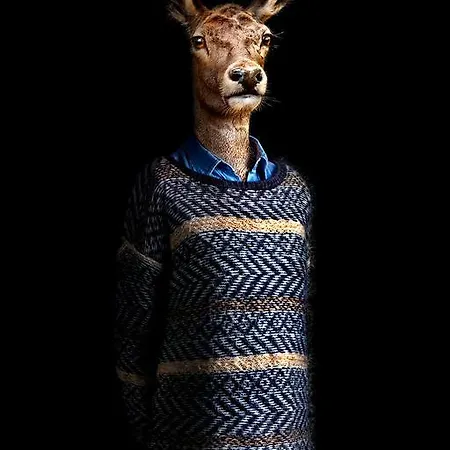 住宿加早餐酒店 帕兰特西酒店 Lavault-Sainte-Anne