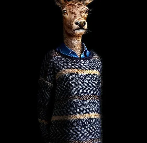 Nocleg ze śniadaniem La Parenthese Lavault-Sainte-Anne